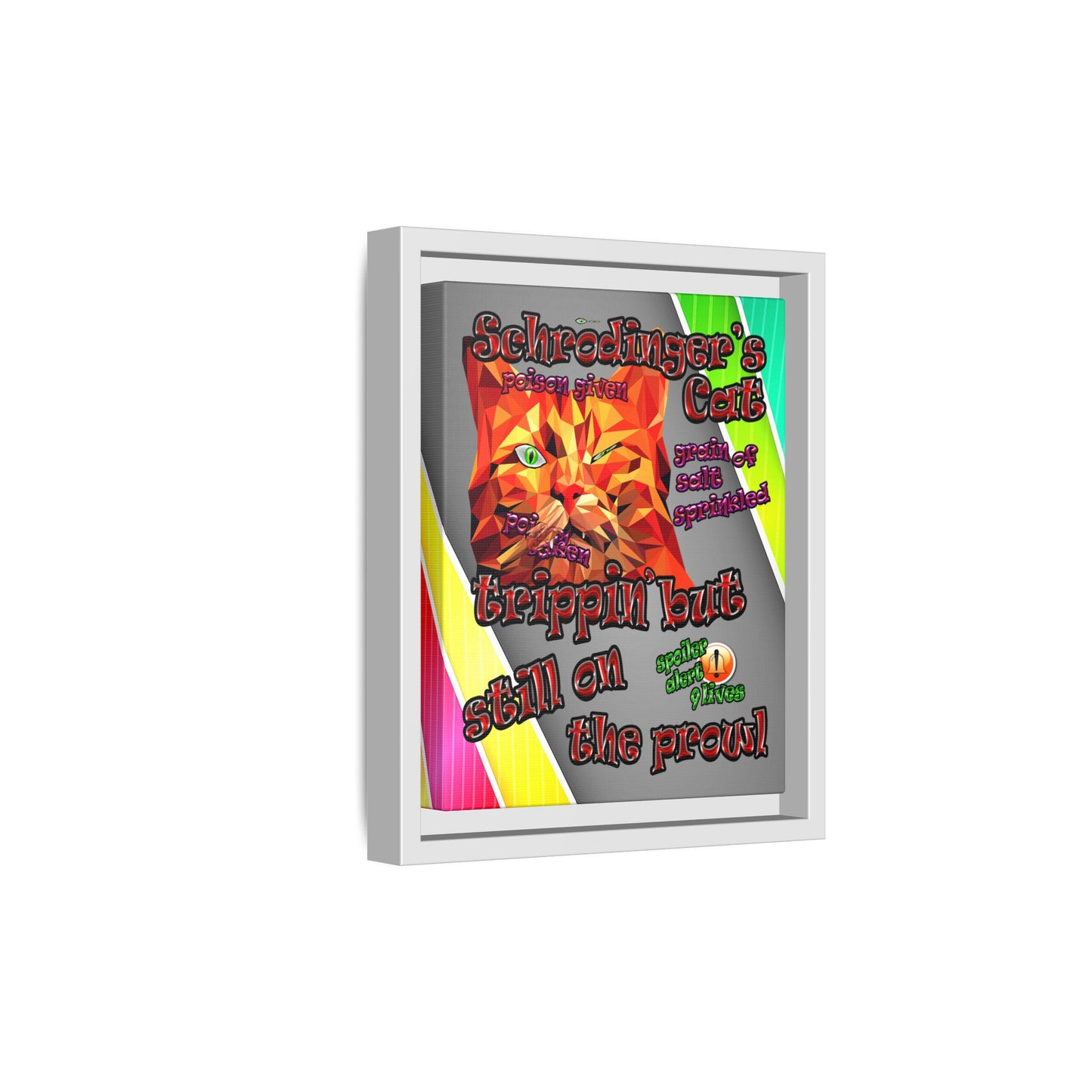 schrodinger's cat - framed canvas art (rainbow split)