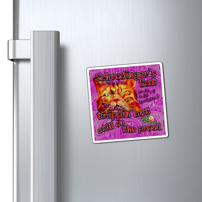 schrodinger's cat - Magnets - (pink swirl)