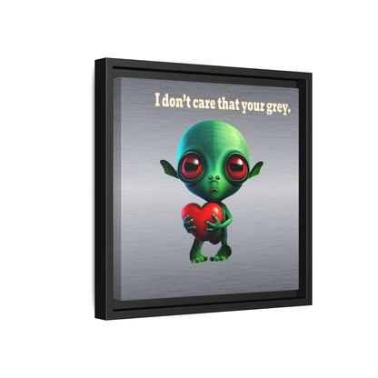 I don't care that your grey - framed canvas art (brushed nickel)