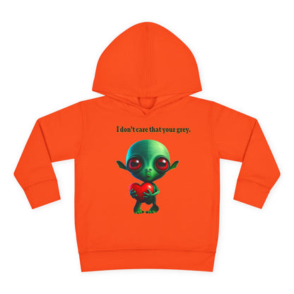 I don't care that your grey - Toddler Pullover Fleece Hoodie