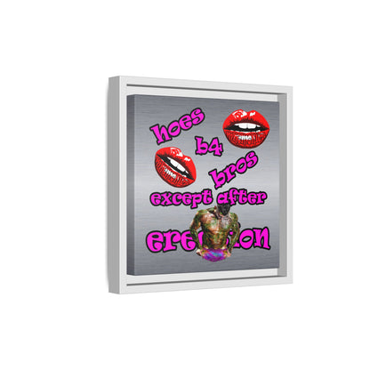 hoes b4 bros - framed canvas art (brushed nickel)