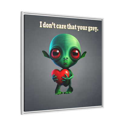 I don't care that your grey - framed canvas art (grey-light grey)