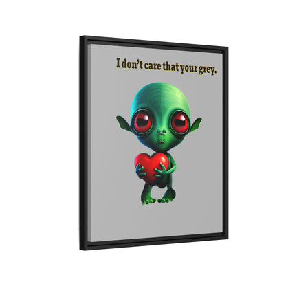 I don't care that your grey - framed canvas art (light grey)