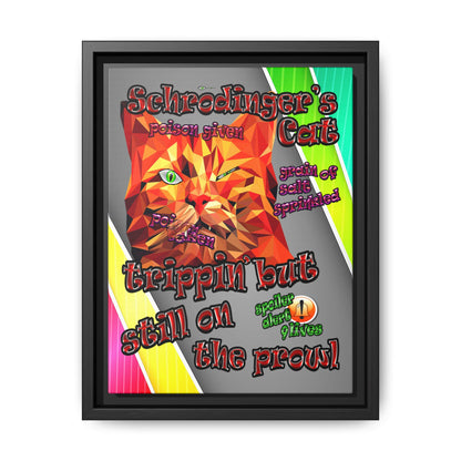 schrodinger's cat - framed canvas art (rainbow split)