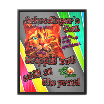 schrodinger's cat - framed canvas art (rainbow split)