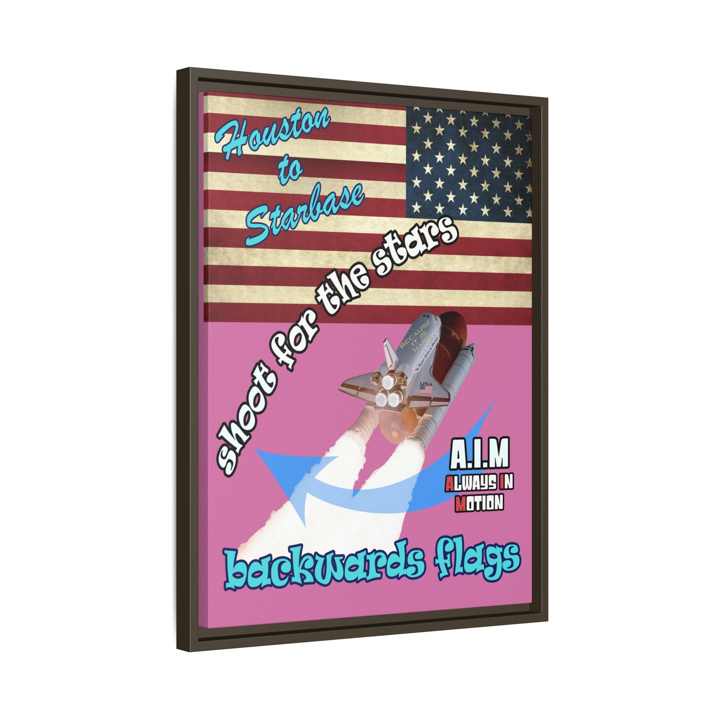 shoot for the stars - framed canvas art (light pink)