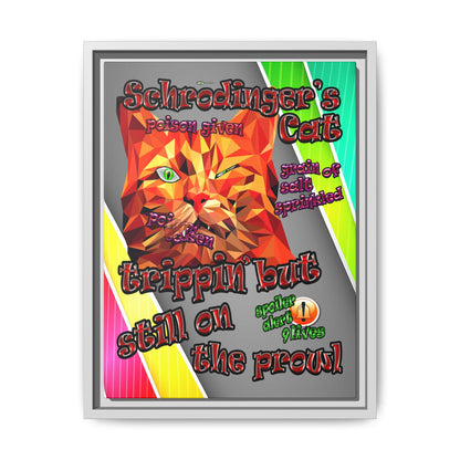 schrodinger's cat - framed canvas art (rainbow split)