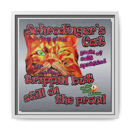 schrodinger's cat - framed canvas art (brushed nickel)