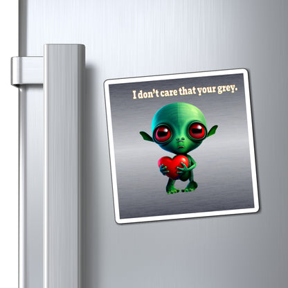 I don't care that your grey - Magnets - (brushed nickel)