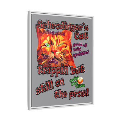 schrodinger's cat - framed canvas art (grey)