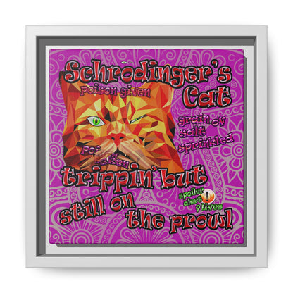 schrodinger's cat - framed canvas art (pink swirl)