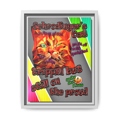 schrodinger's cat - framed canvas art (rainbow split)