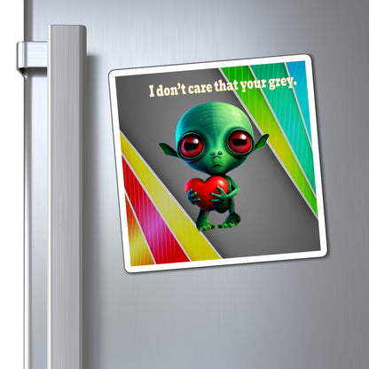 I don't care that your grey - Magnets - (rainbow split)