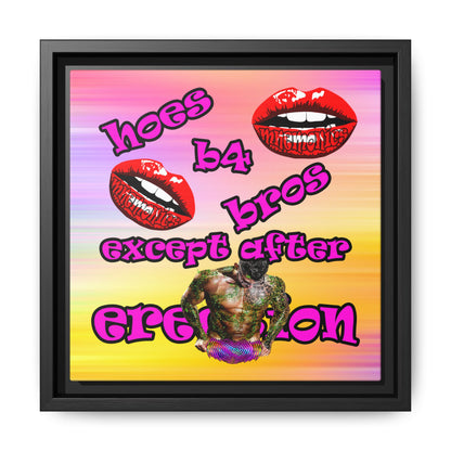 hoes b4 bros - framed canvas art (color blur)