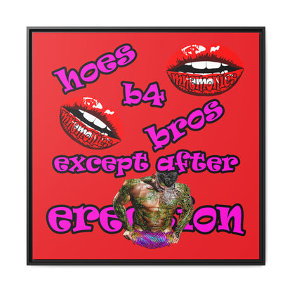 hoes b4 bros - framed canvas art (red)