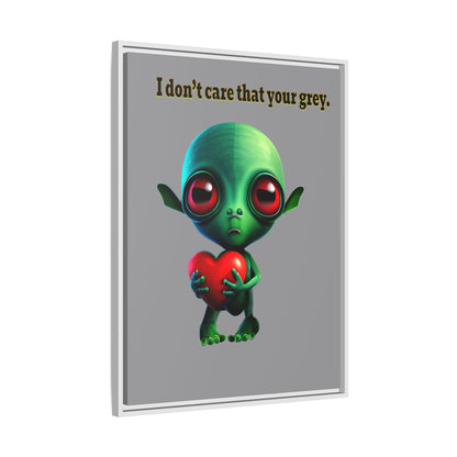 I don't care that your grey - framed canvas art (grey)