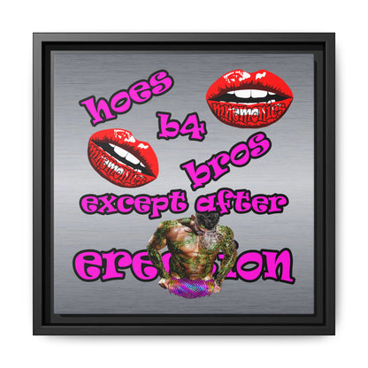 hoes b4 bros - framed canvas art (brushed nickel)