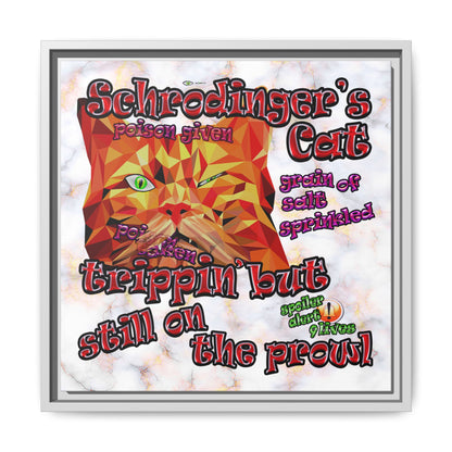 schrodinger's cat - framed canvas art (white marble)