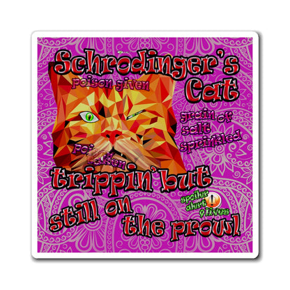 schrodinger's cat - Magnets - (pink swirl)