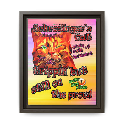 schrodinger's cat - framed canvas art (color blur)