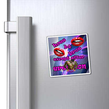hoes b4 bros - Magnets - (grey-pink wave)