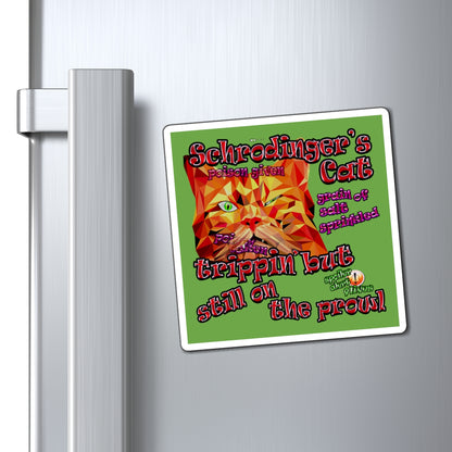 schrodinger's cat - Magnets - (green)