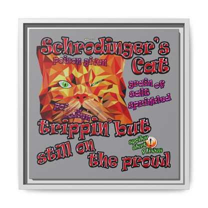 schrodinger's cat - framed canvas art (grey)