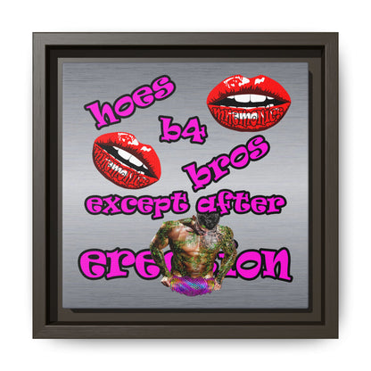 hoes b4 bros - framed canvas art (brushed nickel)