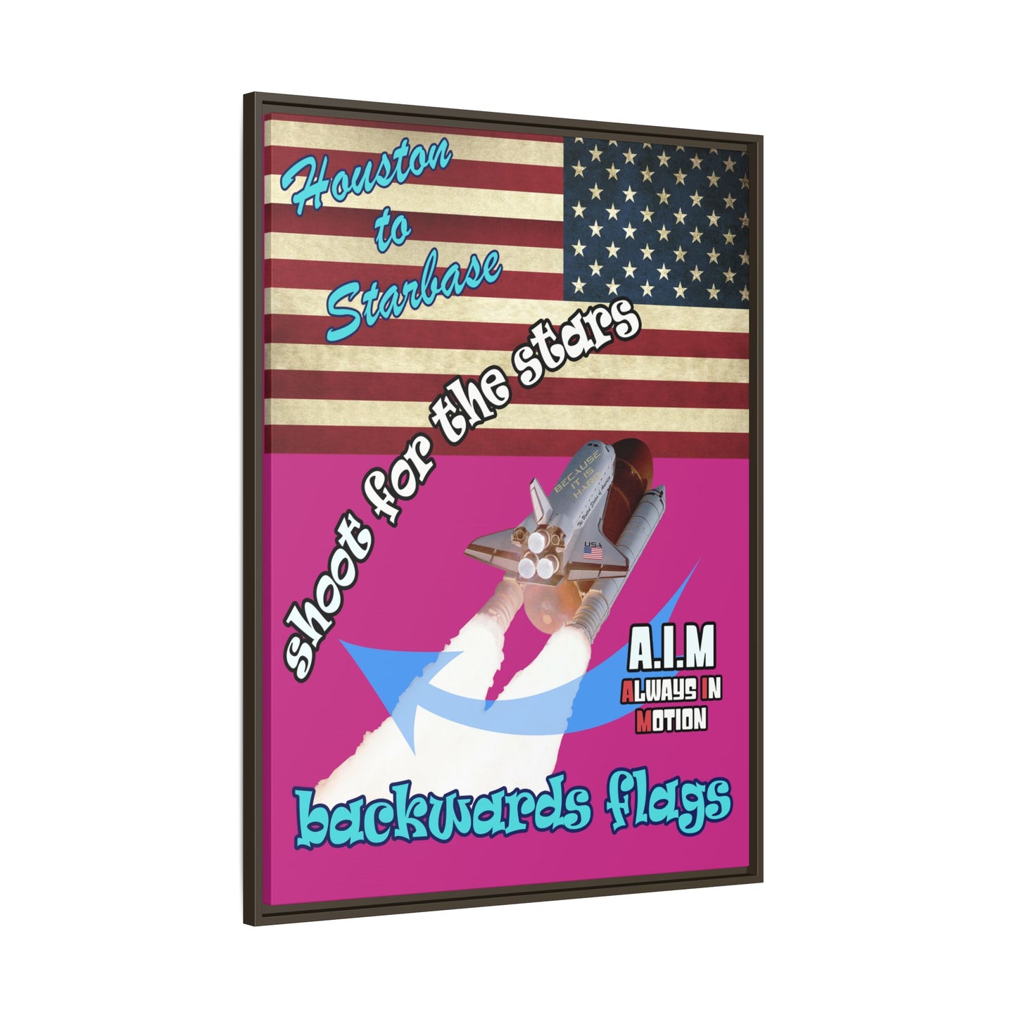 shoot for the stars - framed canvas art (pink)