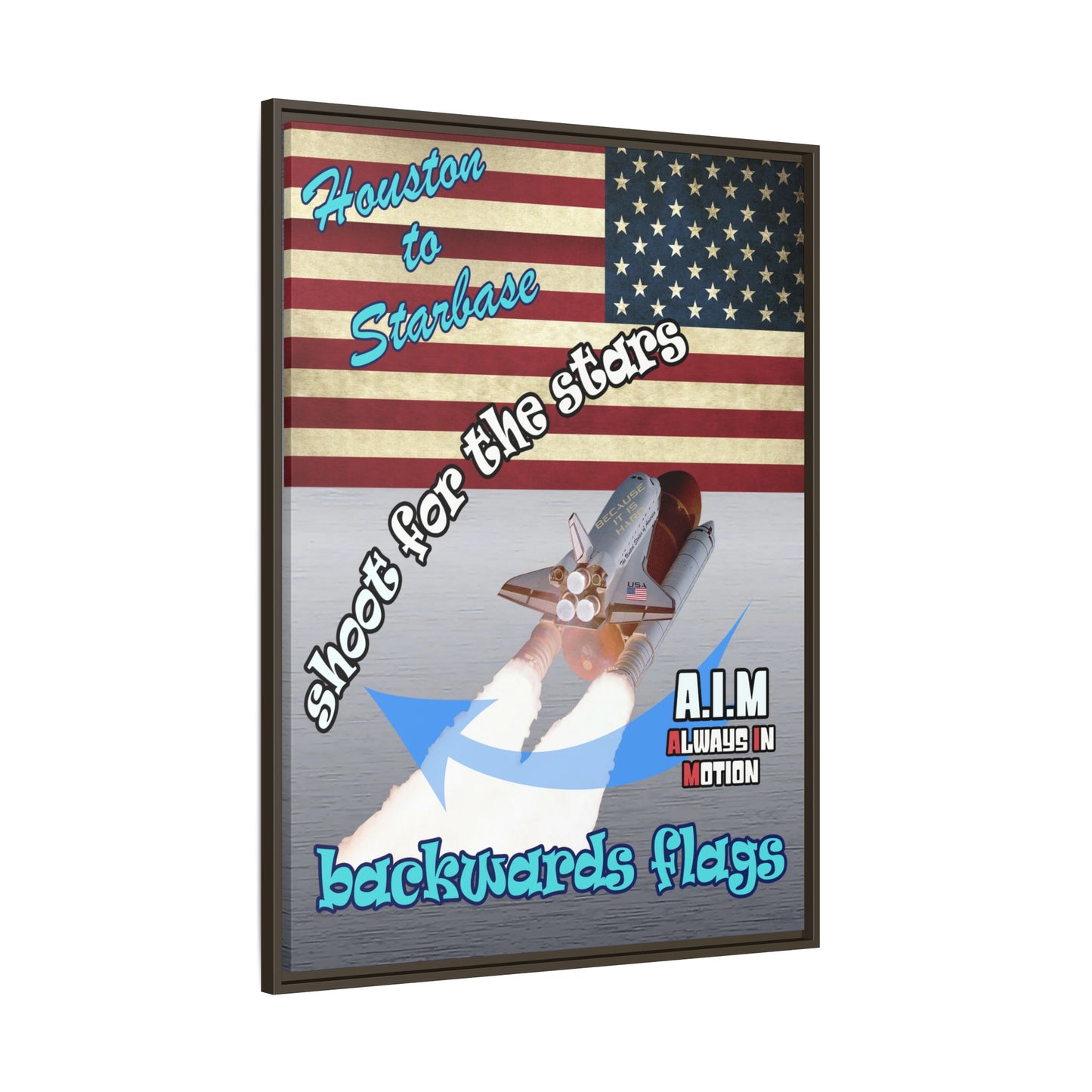 shoot for the stars - framed canvas art (brushed nickel)