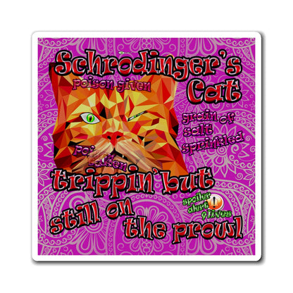 schrodinger's cat - Magnets - (pink swirl)