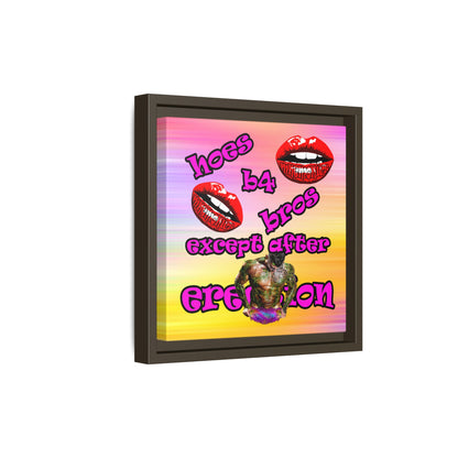 hoes b4 bros - framed canvas art (color blur)