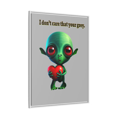 I don't care that your grey - framed canvas art (light grey)