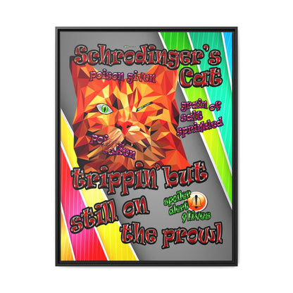 schrodinger's cat - framed canvas art (rainbow split)