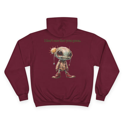I don't care that your grey - Champion Hoodie