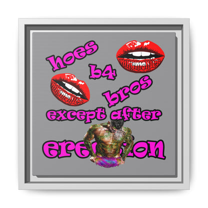 hoes b4 bros - framed canvas art (grey)