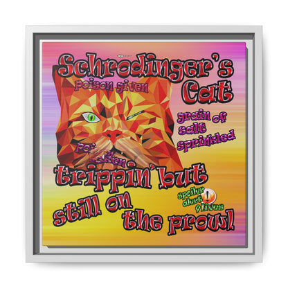 schrodinger's cat - framed canvas art (color blur)