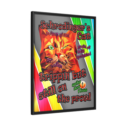 schrodinger's cat - framed canvas art (rainbow split)