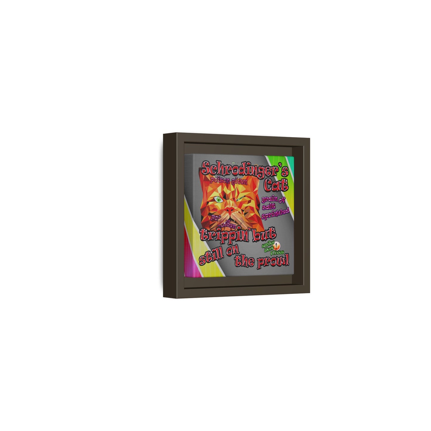 schrodinger's cat - framed canvas art (rainbow split)