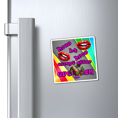 hoes b4 bros - Magnets - (rainbow split)