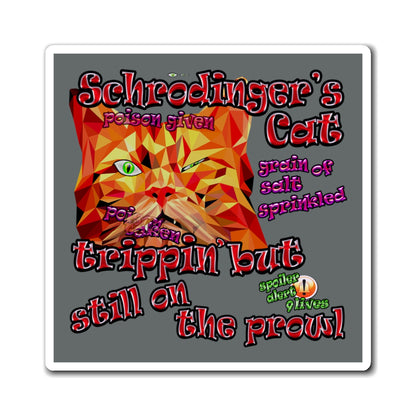 schrodinger's cat - Magnets - (dark grey)