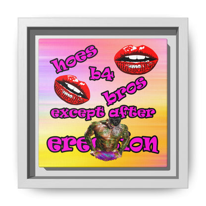 hoes b4 bros - framed canvas art (color blur)