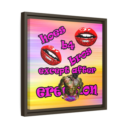 hoes b4 bros - framed canvas art (color blur)