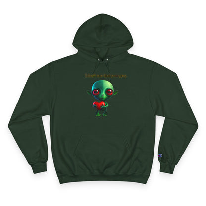 I don't care that your grey - Champion Hoodie