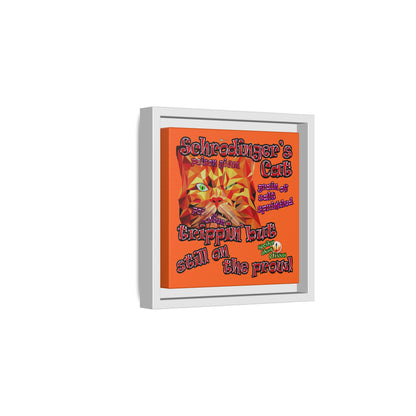 schrodinger's cat - framed canvas art (orange)