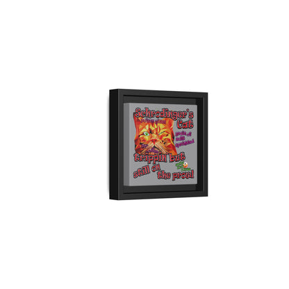 schrodinger's cat - framed canvas art (grey)
