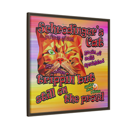 schrodinger's cat - framed canvas art (color blur)