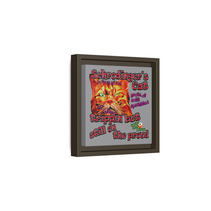 schrodinger's cat - framed canvas art (grey)