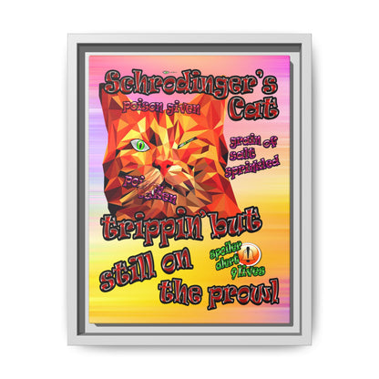 schrodinger's cat - framed canvas art (color blur)