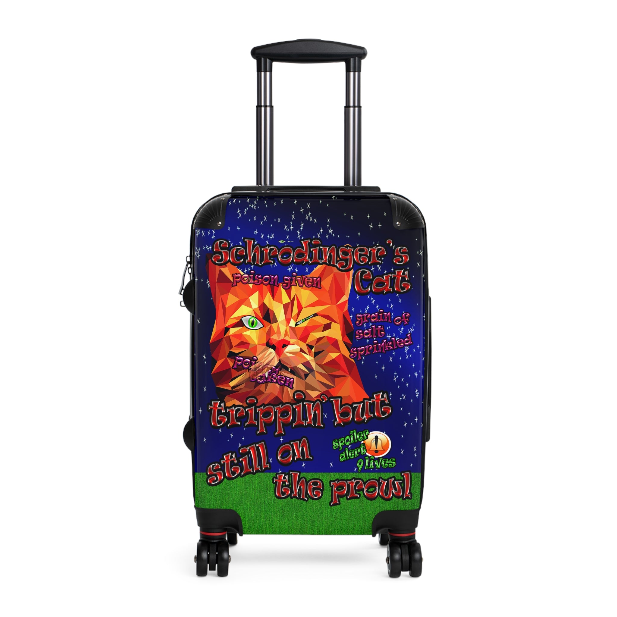 schrodinger's cat - Suitcase ('snoops' background)